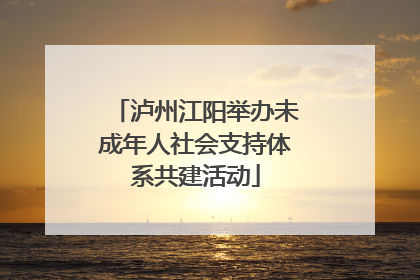 泸州江阳举办未成年人社会支持体系共建活动