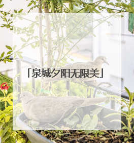 泉城夕阳无限美