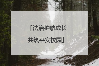 法治护航成长 共筑平安校园