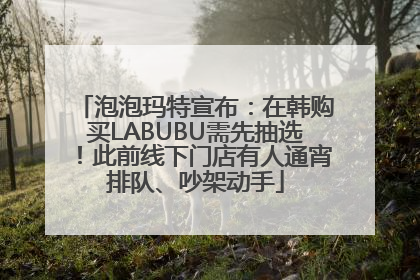 泡泡玛特宣布：在韩购买LABUBU需先抽选！此前线下门店有人通宵排队、吵架动手