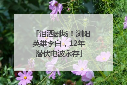 泪洒剧场！浏阳英雄李白，12年潜伏电波永存