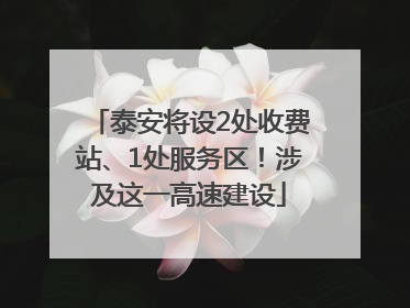 泰安将设2处收费站、1处服务区！涉及这一高速建设