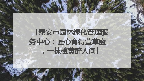 泰安市园林绿化管理服务中心：匠心育得萱草盛，一抹橙黄醉人间