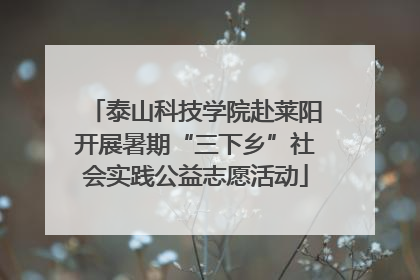 泰山科技学院赴莱阳开展暑期“三下乡”社会实践公益志愿活动