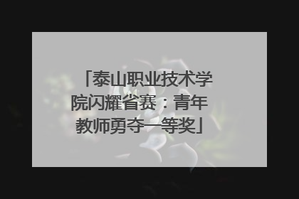 泰山职业技术学院闪耀省赛：青年教师勇夺一等奖