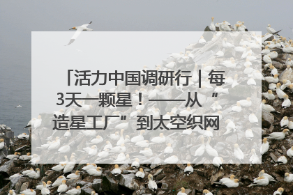 活力中国调研行｜每3天一颗星！——从“造星工厂”到太空织网的“银河速度”