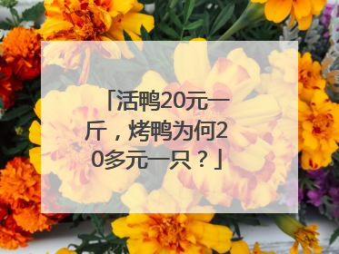活鸭20元一斤，烤鸭为何20多元一只？