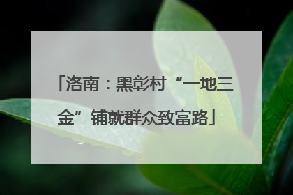 洛南：黑彰村“一地三金”铺就群众致富路