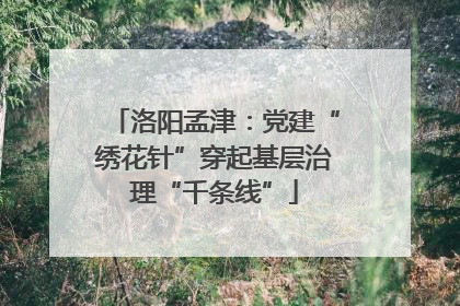 洛阳孟津：党建“绣花针”穿起基层治理“千条线”