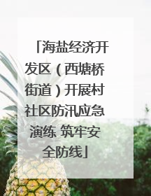 海盐经济开发区（西塘桥街道）开展村社区防汛应急演练 筑牢安全防线