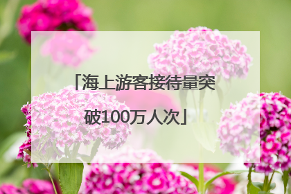 海上游客接待量突破100万人次