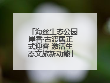 海丝生态公园岸香·古渡居正式迎客 激活生态文旅新动能