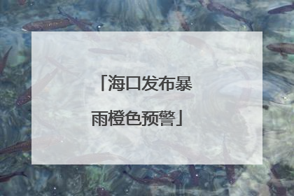 海口发布暴雨橙色预警