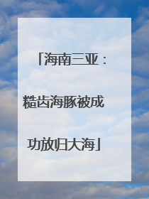 海南三亚：糙齿海豚被成功放归大海