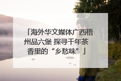 海外华文媒体广西梧州品六堡 探寻千年茶香里的“乡愁味”