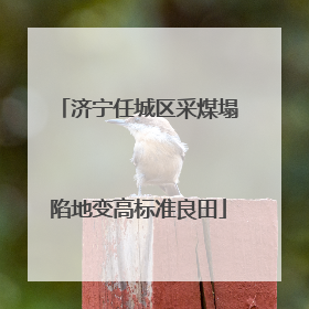 济宁任城区采煤塌陷地变高标准良田