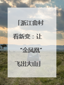 浙江畲村看新变：让“金凤凰”飞出大山