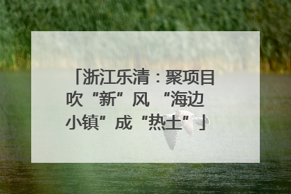 浙江乐清：聚项目吹“新”风 “海边小镇”成“热土”