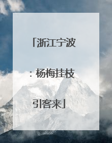 浙江宁波：杨梅挂枝引客来