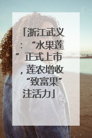浙江武义：“水果莲”正式上市，莲农增收“致富果”注活力