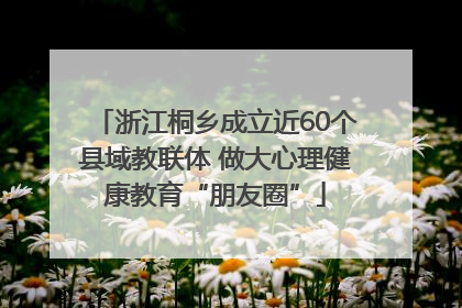 浙江桐乡成立近60个县域教联体 做大心理健康教育“朋友圈”
