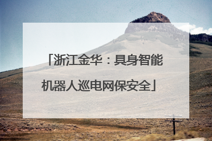 浙江金华：具身智能机器人巡电网保安全