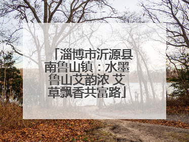 淄博市沂源县南鲁山镇：水墨鲁山艾韵浓 艾草飘香共富路