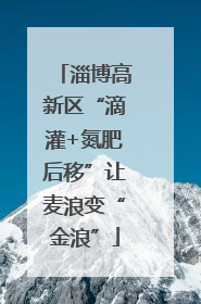 淄博高新区“滴灌+氮肥后移”让麦浪变“金浪”