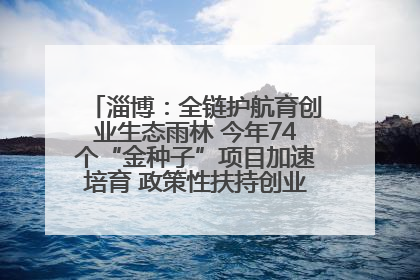 淄博：全链护航育创业生态雨林 今年74个“金种子”项目加速培育 政策性扶持创业9754人