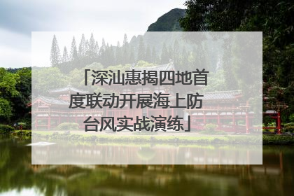 深汕惠揭四地首度联动开展海上防台风实战演练