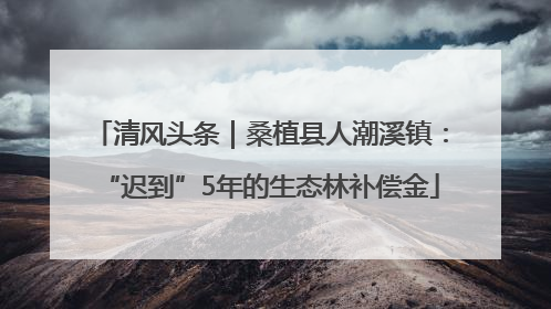 清风头条｜桑植县人潮溪镇：“迟到”5年的生态林补偿金