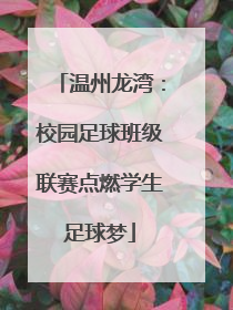 温州龙湾：校园足球班级联赛点燃学生足球梦