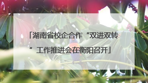 湖南省校企合作“双进双转”工作推进会在衡阳召开