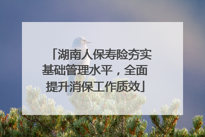湖南人保寿险夯实基础管理水平，全面提升消保工作质效