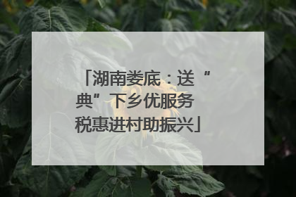 湖南娄底：送“典”下乡优服务 税惠进村助振兴