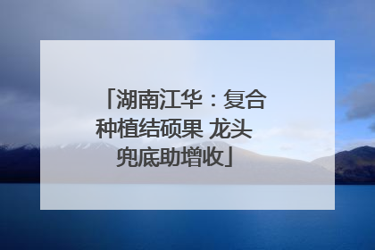湖南江华：复合种植结硕果 龙头兜底助增收