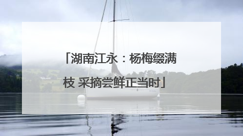 湖南江永：杨梅缀满枝 采摘尝鲜正当时