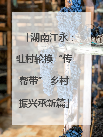 湖南江永：驻村轮换“传帮带” 乡村振兴承新篇