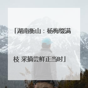 湖南衡山：杨梅缀满枝 采摘尝鲜正当时