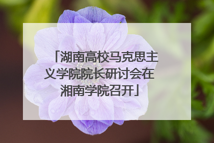 湖南高校马克思主义学院院长研讨会在湘南学院召开