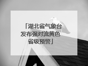 湖北省气象台发布强对流黄色省级预警