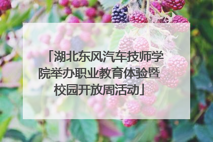 湖北东风汽车技师学院举办职业教育体验暨校园开放周活动