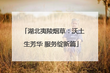 湖北夷陵烟草：沃土生芳华 服务绽新篇