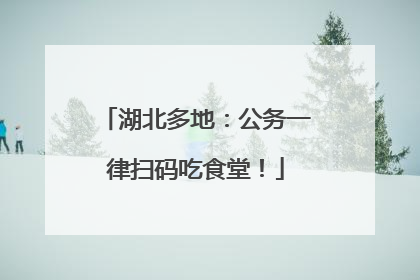 湖北多地：公务一律扫码吃食堂！
