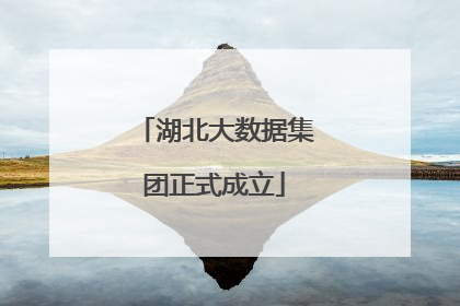 湖北大数据集团正式成立