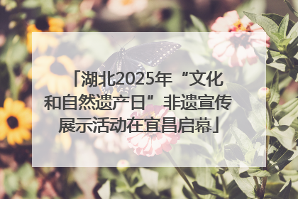 湖北2025年“文化和自然遗产日”非遗宣传展示活动在宜昌启幕