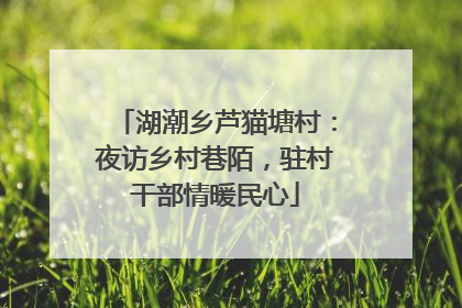 湖潮乡芦猫塘村：夜访乡村巷陌，驻村干部情暖民心