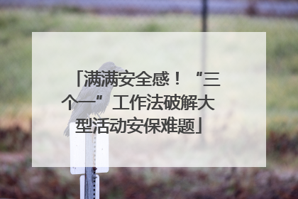 满满安全感！“三个一”工作法破解大型活动安保难题