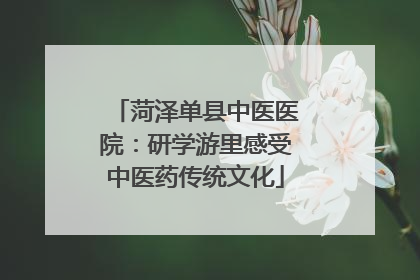 菏泽单县中医医院：研学游里感受中医药传统文化