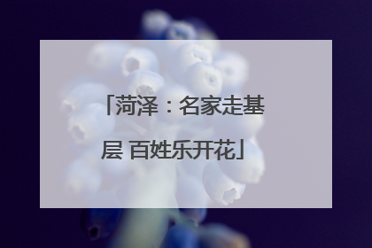 菏泽：名家走基层 百姓乐开花